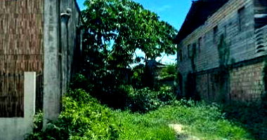 Terreno com 2 quartos, 2 banheiros e área privativa de 69,75m²