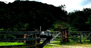 Lote em São João Batista com 57750 m²