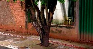 Casa 54,72m² com 2 quartos em Rondonópolis