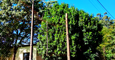 Prédio arrendado 420m² em terreno de 4200m² com 14 lotes