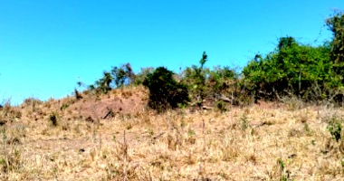 Parte Ideal de 6 Hectares em Pimenta Bueno/RO