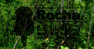 Área Rural de Terras com 62.565,00m²