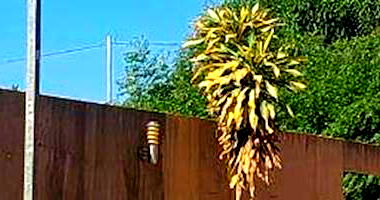 Casa padrão com 4 quartos, 1 sala, 168m² construída, ocupada