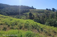 Terreno Rural 119.442m² em Lindoia do Sul-SC