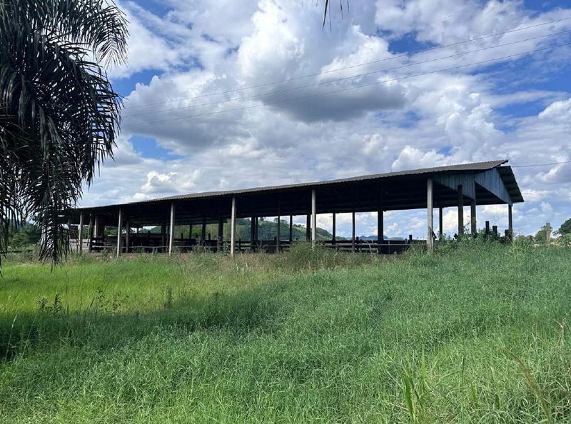 Fazenda Saudades com Benfeitorias e Grande Área