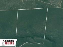 Fazenda Muller II com 433 hectares, ideal para pecuária e agricultura