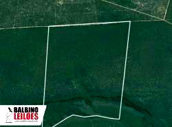 Fazenda Muller II com 433 hectares, ideal para pecuária e agricultura