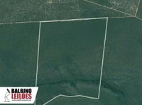Fazenda Muller II com 433 hectares, ideal para pecuária e agricultura