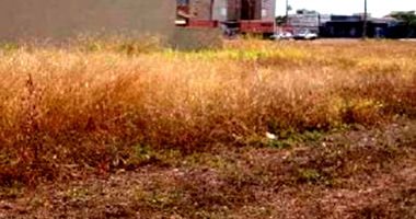 Terreno Amplo em Chapadão do Sul - 630 m²