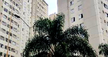 Apartamento com 2 quartos em São Paulo