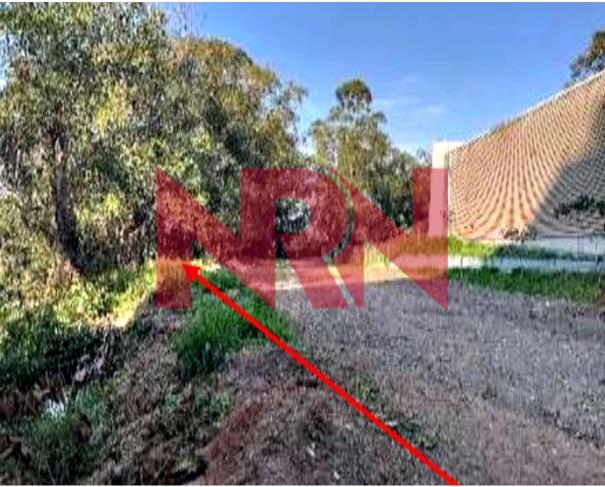 Terreno 300m² em Vila Andrade - São Paulo/SP