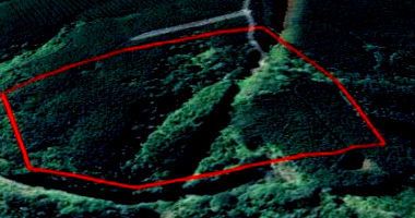 Imóvel Rural com 8,43 hectares em Reserva/PR, área reflorestada
