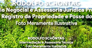 Terreno Urbano 4000m² em Excelente Localização