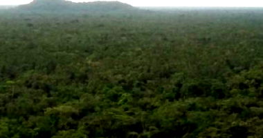 Imóvel Rural com Ampla Área em Matinhos/PR