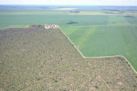 Terreno Rural em Formosa do Rio Preto - Oportunidade de Investimento