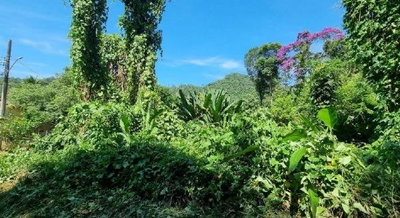 Terreno em Caraguatatuba com 446,59m²