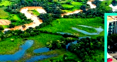Fazenda com Casa Sede em Araújos/MG - 155 Hectares