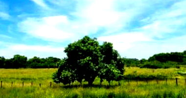Terreno rural desocupado com 265.932m², amplo espaço para projetos