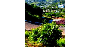 Terreno em Harmonia/RS com 1.678,06m²