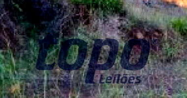 Terreno Urbano em Nova Esperança do Sudoeste/PR