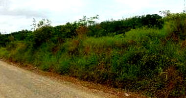 Terreno Rural com 5.700 m²