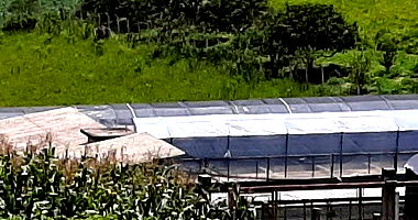 Chácara Desocupada com Piscicultura e Ranicultura