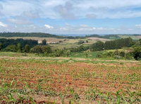 Imóvel Rural com 20.000m² em Nova Prata do Iguaçu-PR