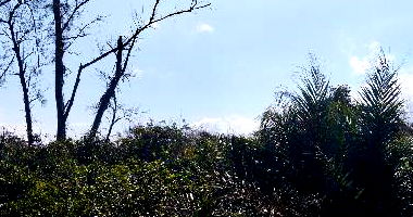 Terreno em Balneário das Garças, Rio das Ostras - Ocupado