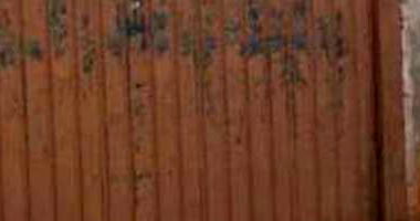 Casa com 3 quartos, 2 banheiros e 1 vaga