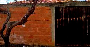 Casa em Jaíba/MG com 3 quartos