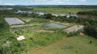 Imóvel Rural com 11,66 Hectares em Alta Floresta D'Oeste