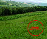 Terreno Rural em Bracatinga com 52.500m²