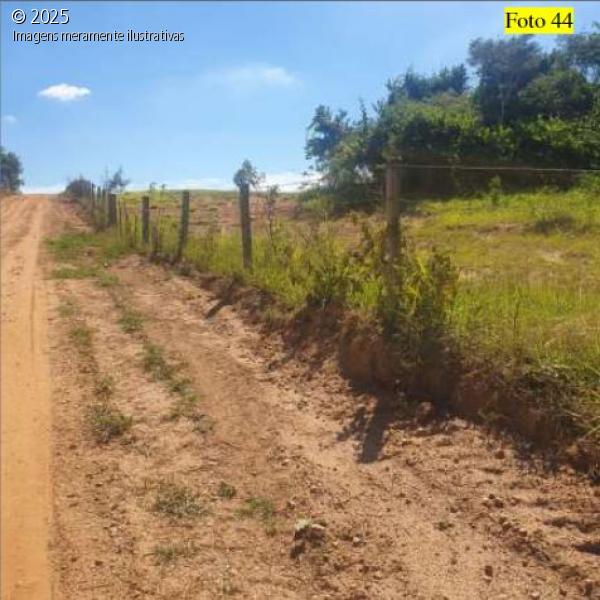Sítio Três Coqueiros - 20,34 hectares em Potirendaba-SP