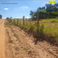 Sítio Três Coqueiros - 20,34 hectares em Potirendaba-SP