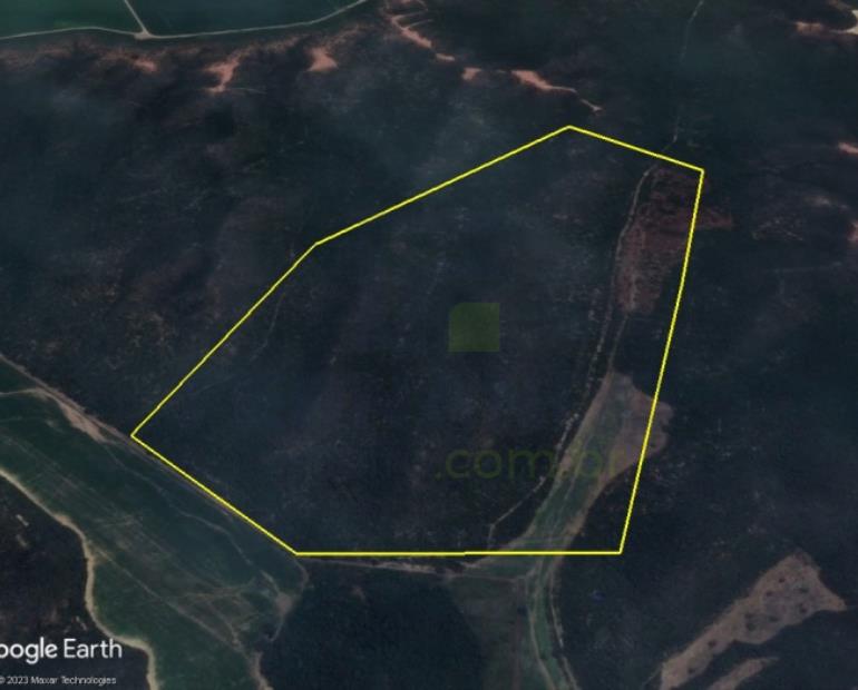 Terreno Rural com 20 Hectares em Chapada Gaúcha/MG