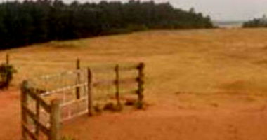 Imóvel Rural com Área de 121.000m² em Janiópolis-PR