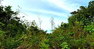 Terreno com 4.930m² em Nova Xavantina - MT