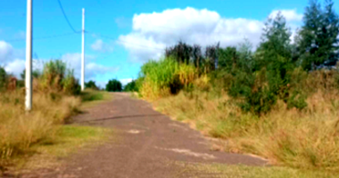 Terreno em Harmonia/RS com 286m²