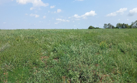 Fazenda 2 Princesas - Área rural com 212,15 ha e benfeitorias