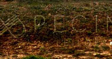 Terreno em Condomínio com 220m²