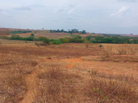 Terreno Rural com 5,06ha em Flora Rica/SP
