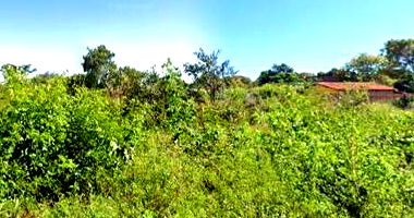 Terreno com 300m² em Piripiri/PI