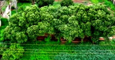 Área Rural com Galpões em Guaíra - 1,1 ha