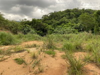 Terreno em Leilão em Paracambi/RJ