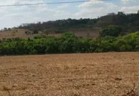 Fazenda Rural com 245,43ha em Comendador Gomes-MG