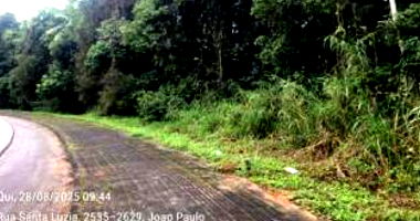 Terreno Urbano Amplo em Indaial-SC