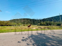 Terreno de 19.366 m² em área rural