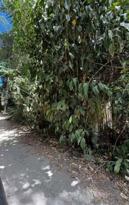 Terreno Urbano com 849m² em Ilhabela - Ótima Oportunidade