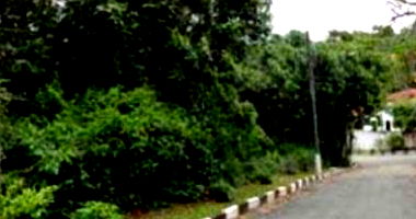 Terreno amplo de 1200m² no Jardim Algarve, Cotia, ideal para construção