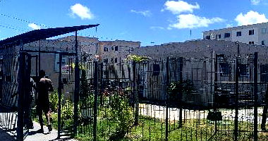 Apartamento 2 quartos, 1 banheiro, 40,53m² área privativa